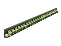 Delock Rack-Montageblech für Glasfaser-Spleißbox - Vorderseite - SC MM X 24 - hellgrün - 1U - 48.3