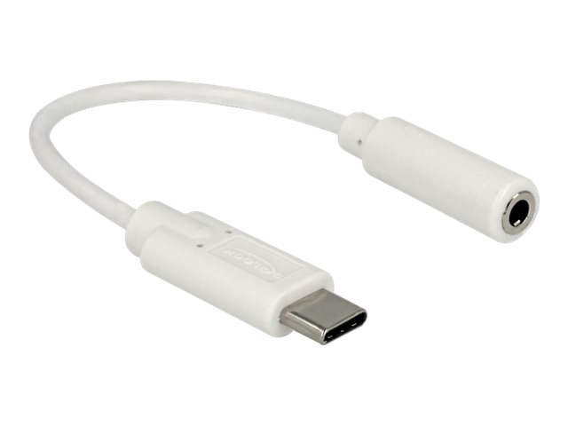 Delock - Audio-Adapter - 24 pin USB-C männlich zu mini-phone stereo 3.5 mm weiblich - 14 cm - weiß