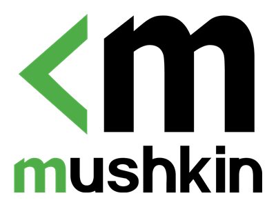 Mushkin Endora - SSD - 500 GB - intern - M.2 2280 - PCIe 4.0 x4 (NVMe)