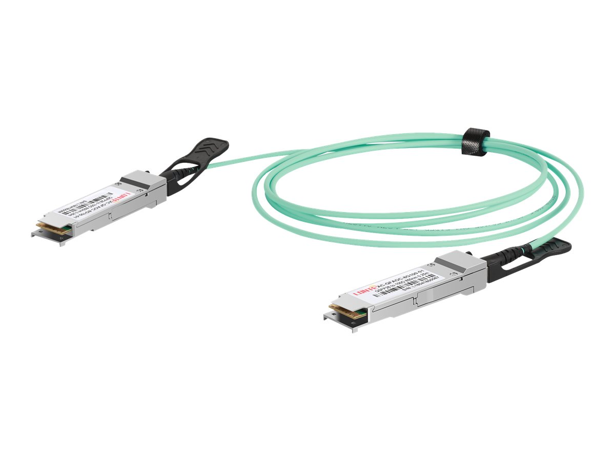 Digitus - 100GBase Direktanschlusskabel - QSFP28 zu QSFP28 - 2 m - Glasfaser - Duplex - SFF-8431/SFF-8432 - Active Optical Cable (AOC)