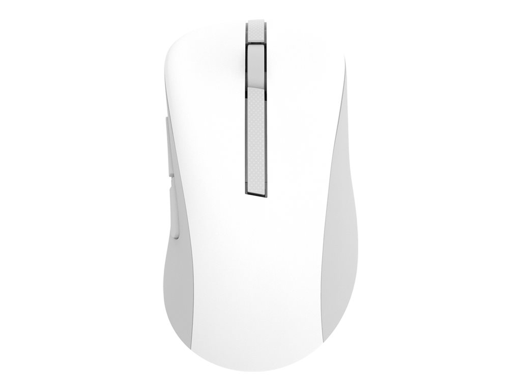 ASUS MD102 - Maus - ergonomisch - optisch - 5 Tasten - kabellos - Bluetooth, 2.4 GHz - kabellose