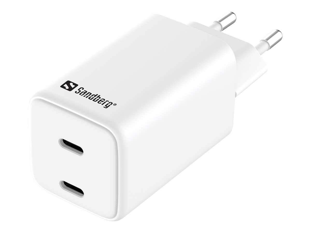 Sandberg - Netzteil - 65 Watt - 3.25 A - 2 Ausgabeanschlussstellen (24 pin USB-C) - Europa