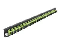 Delock Rack-Montageblech für Glasfaser-Spleißbox - Vorderseite - SC MM X 24 - hellgrün - 1U - 48.3 cm (19") 43356