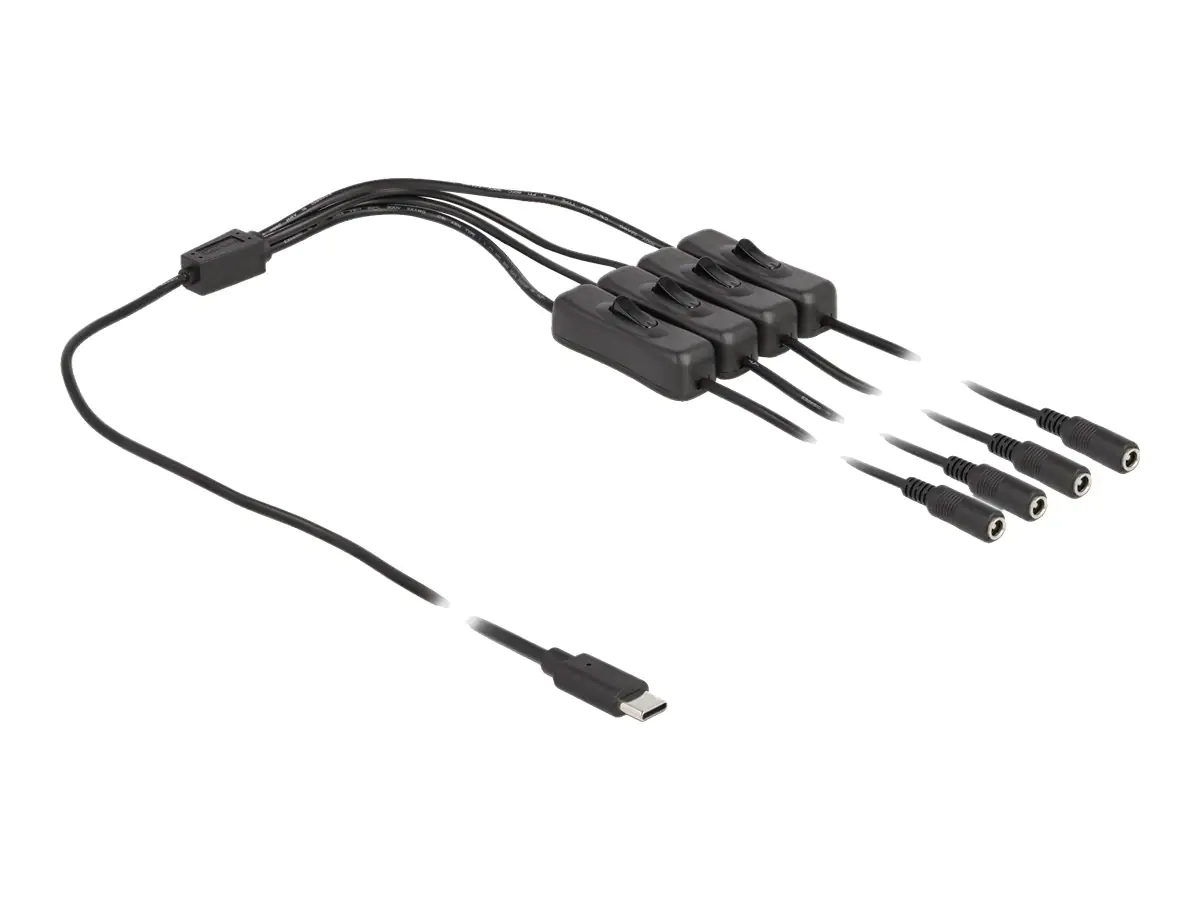 Delock Netz-Splitter - USB-C (M) zu Gleichstromstecker 5,5 x 2,1 mm (W)