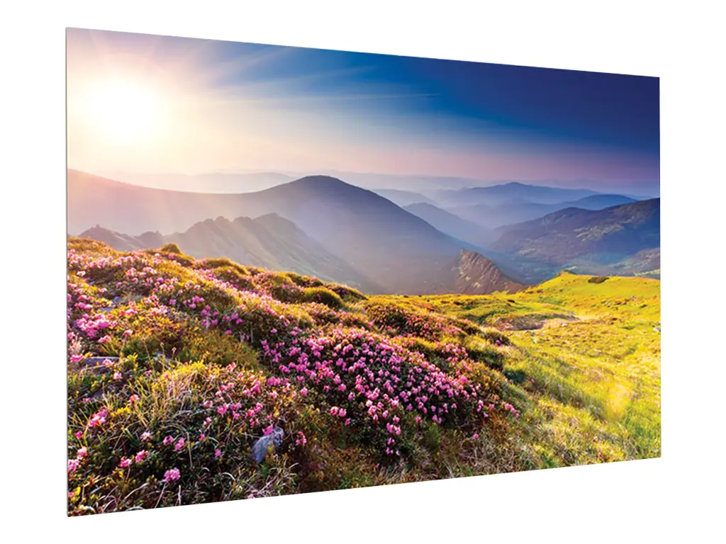 Projecta FullVision Wide Format - Leinwand - geeignet für Wandmontage - 708 cm (278.7")