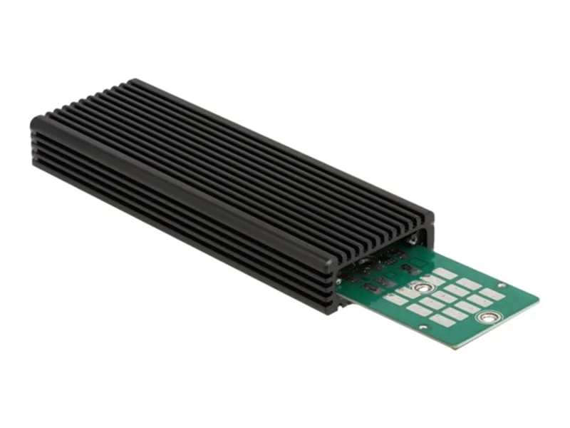 Delock - Speichergehäuse - M.2 - M.2 NVMe Card / SATA 6Gb/s - USB 3.2 (Gen 2) - Schwarz