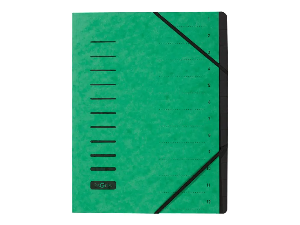 Pagna Office - Gliederungsordner - 12 Fächer - 12 Teile - Rückenbreite: 5 mm - für A4 (210 x 297 mm) 40059-03