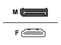 Kramer Electronics Kramer AD-DPM/HF/RING - Videoadapter - DisplayPort