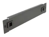Delock Rack-Blindabdeckungsplatte - Schwarz - 1U - 25.4 cm (10") 66576