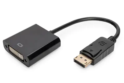ASSMANN - DisplayPort-Adapter - DisplayPort (M) zu DVI-D (W) - 15 cm - geformt - Schwarz
