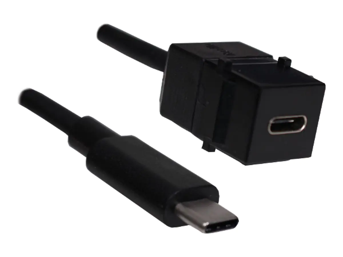 Bachmann - USB-Verlängerungskabel - 24 pin USB-C (M) zu 24 pin USB-C (W) Keystone - USB 3.1 - 50 cm - USB Power Delivery (60W) - Schwarz