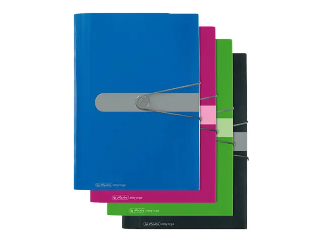 Herlitz easy orga - Schriftenordner - 12 Fächer - für A4 (210 x 297 mm) 11209517