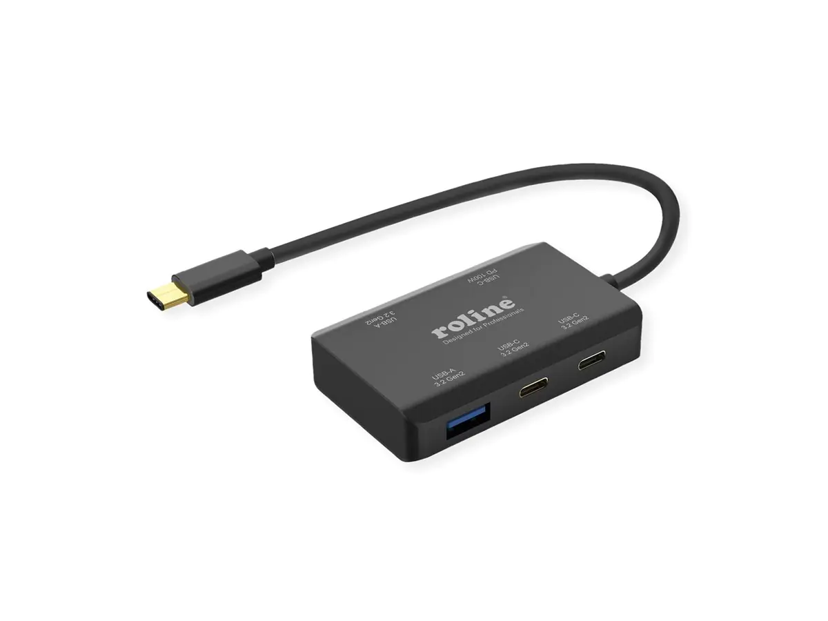 ROLINE Hub - PD (100W) - 2 x USB-C 3.2 Gen