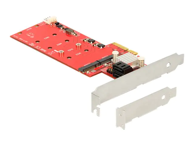 Delock Speicher-Controller - M.2 Card Low-Profile
