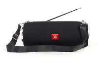 Gembird SPK-BT-17 - Lautsprecher - tragbar - kabellos - Bluetooth 5.1 - 10 Watt - Schwarz