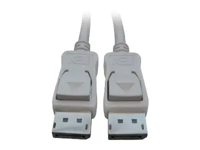 Fujitsu - DisplayPort-Kabel - DisplayPort (M) zu DisplayPort (M) - DisplayPort 1.4 - 2 m - für Celsius H7510, J5010, W5010; ESPRIMO D7010, D7011, D9010, D9011, G9010, P9910