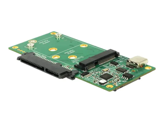 Delock - Schnittstellenadapter - 2.5", mSATA, M.2 (6.4 cm) - M.2 Card / SATA 6Gb/s / mSATA - USB