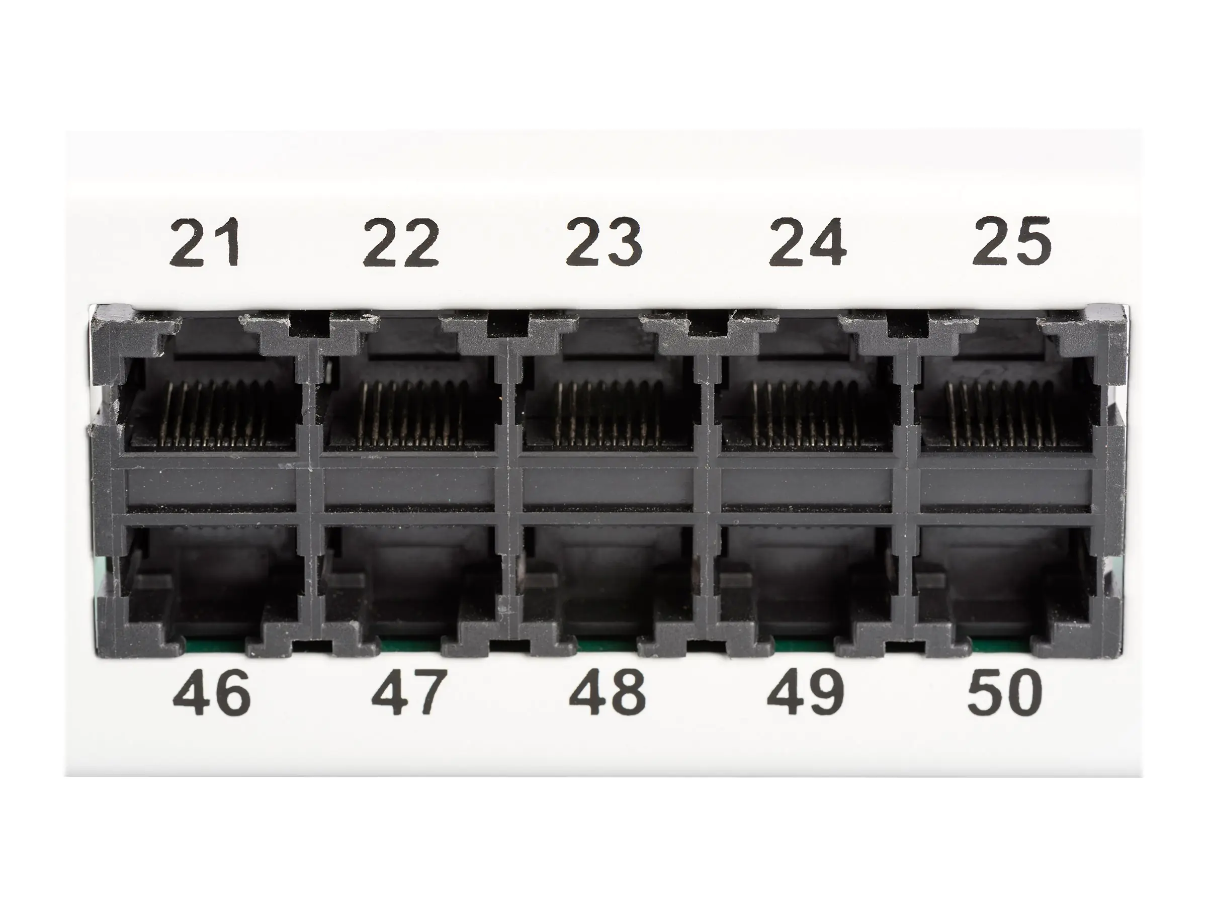 DIGITUS Professional Patch Panel ISDN - 50-Port DN-91350-1