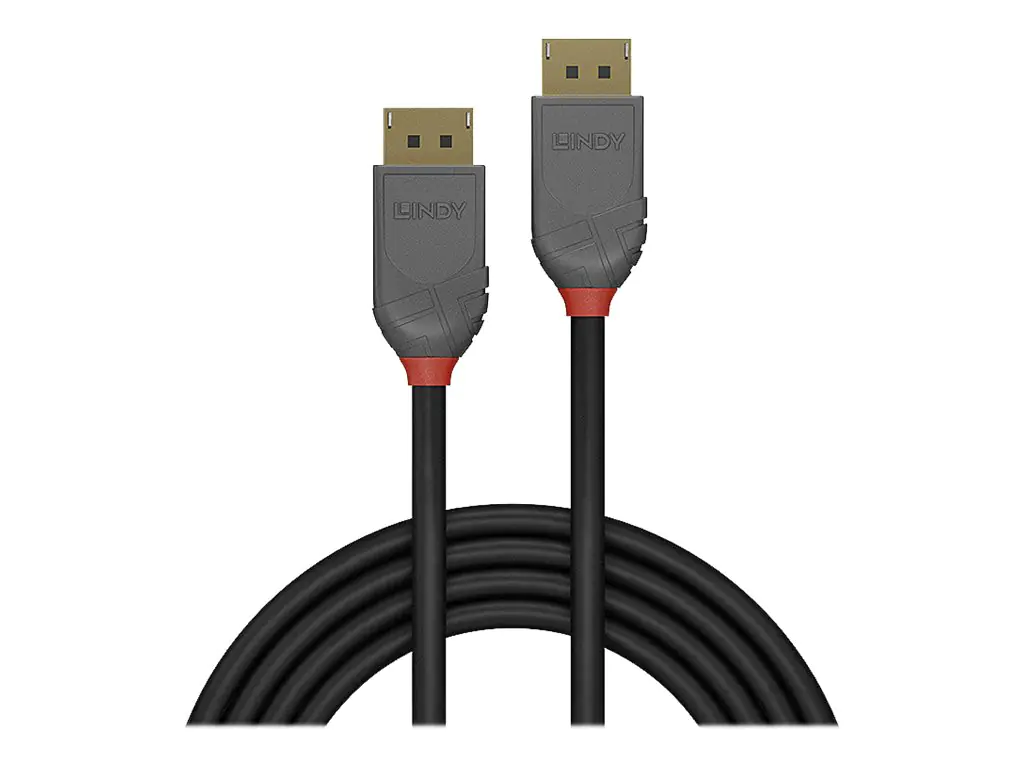 Lindy Anthra Line - DisplayPort-Kabel - DisplayPort (M) zu DisplayPort (M) - DisplayPort 1.4 - 1 m - rund - Schwarz