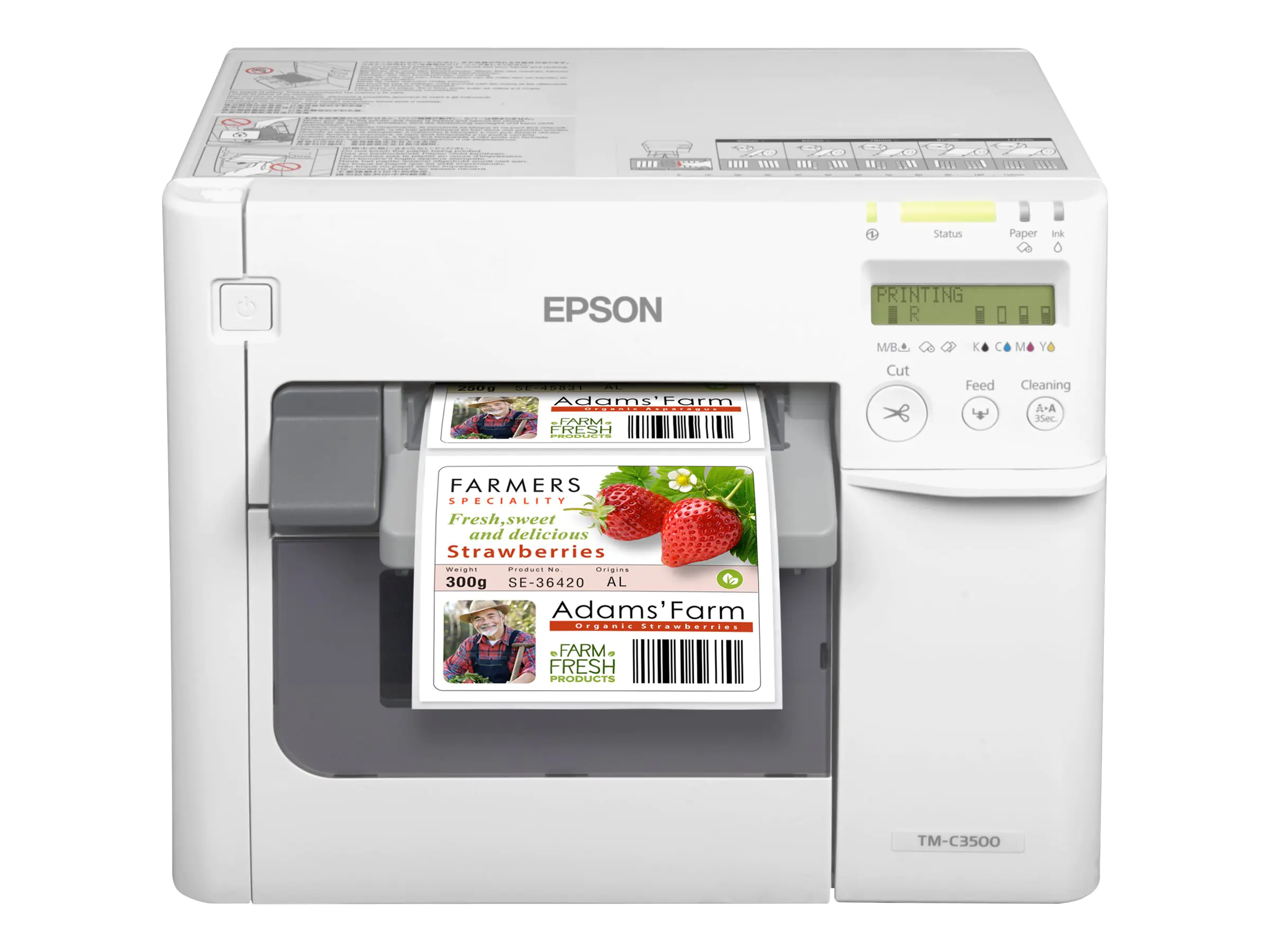 Epson TM C3500 - Etikettendrucker - Farbe - Tintenstrahl - 112 mm (Breite) - 720 x 360 dpi - bis zu 103 mm/Sek. - LAN, USB-Host - Cutter