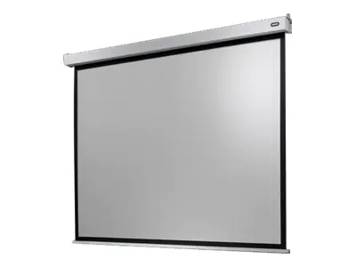 celexon Electric Professional Plus Data format - Leinwand - Deckenmontage möglich, geeignet für