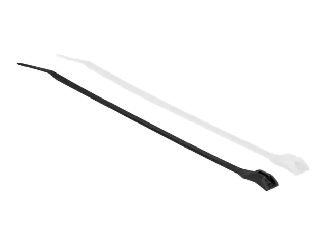 Delock - Kabelbinder - mit flachem Kopf - 28 cm - Schwarz, durchsichtig (Packung mit 100)