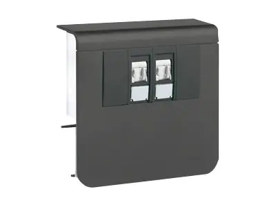 Hager SL200559079011 - Ausgang - RJ-45 X 2
