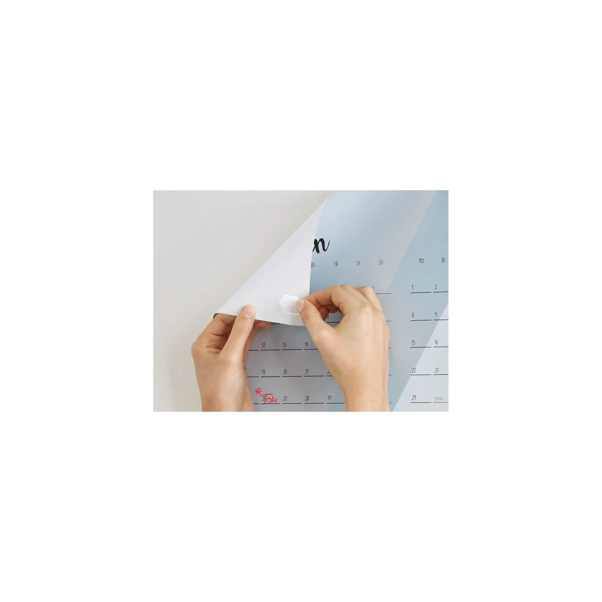 Tesa TACK XL - Montagekleber - Sechseck - durchsichtig - nicht permanent (Packung mit 36) 59404-00000-00