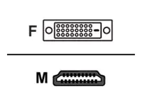 AG Neovo CB-01 - Adapterkabel - DVI-D weiblich CB01001100000