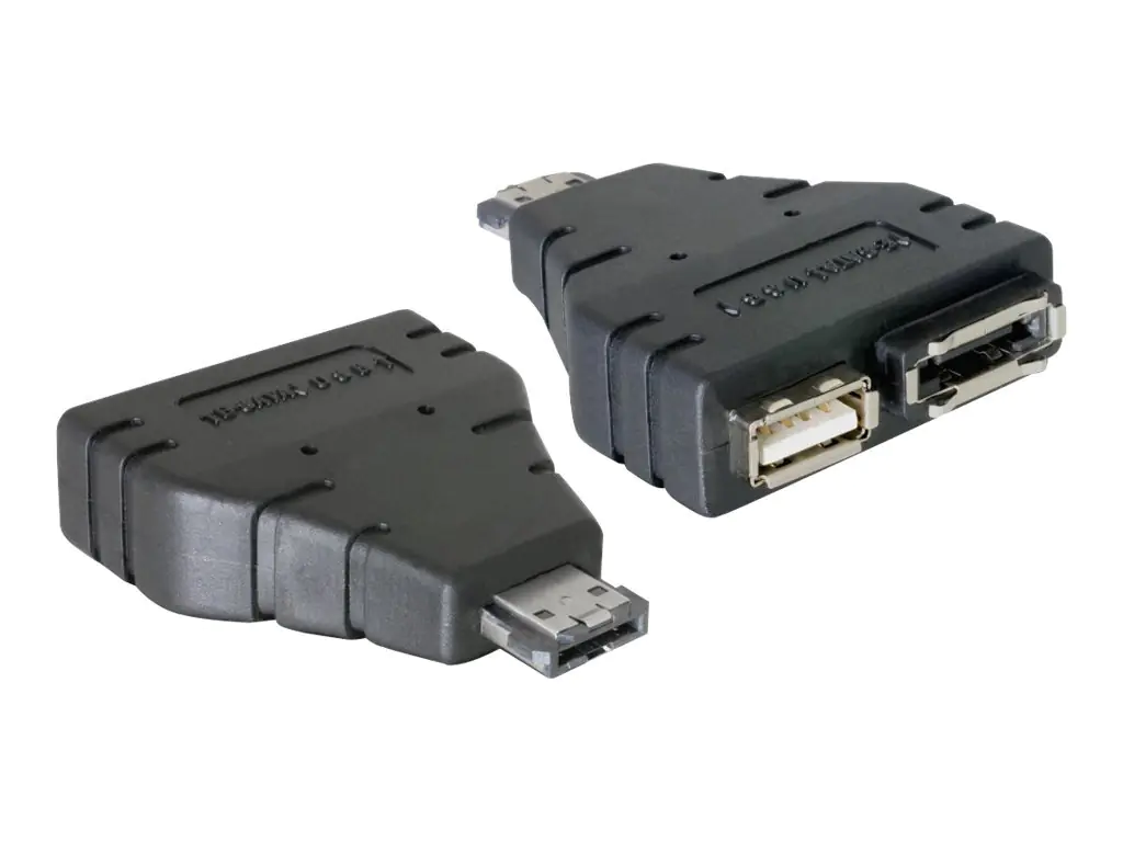 Delock Power Over ESATA adapter - Power Over eSATA-Adapter - Serial ATA 150/300 - USB, eSATA zu eSATAp (M)