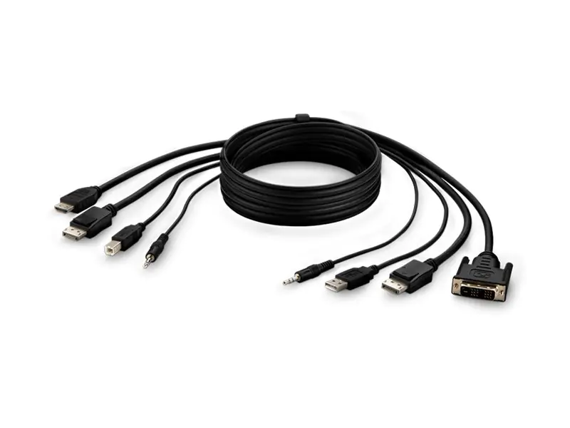 Belkin Secure KVM Combo Cable - Video- / USB- / Audio-Kabel - TAA-konform - USB, Mini-Stecker,