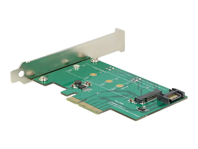 Delock - Speicher-Controller - mSATA - 600 MBps - eSATA 6Gb/s, PCIe x4