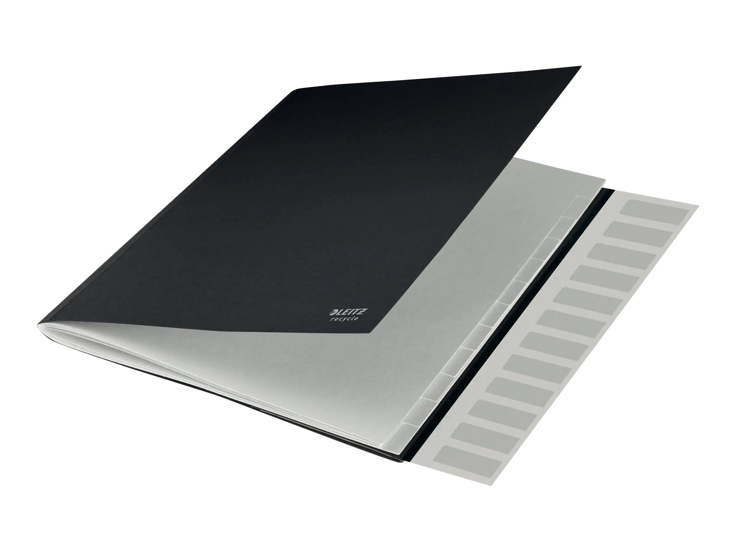 Esselte Leitz Recycle - Gliederungsordner - 12 Teile - für A4 (210 x 297 mm) 39150095