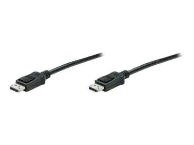 TECHly - DisplayPort-Kabel - DisplayPort (M) zu DisplayPort (M) - DisplayPort 1.4 - 50 cm - FEC - Schwarz