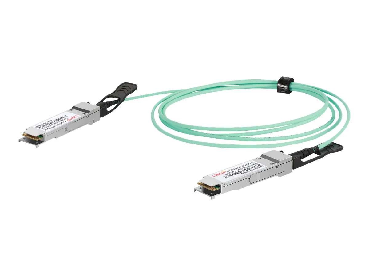 Digitus - 100GBase Direktanschlusskabel - QSFP28 zu QSFP28 - 2 m - Glasfaser - Duplex - SFF-8431/SFF-8432 - Active Optical Cable (AOC)