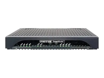 Patton SmartNode 4131 - VoIP-Gateway - ISDN, 100Mb LAN