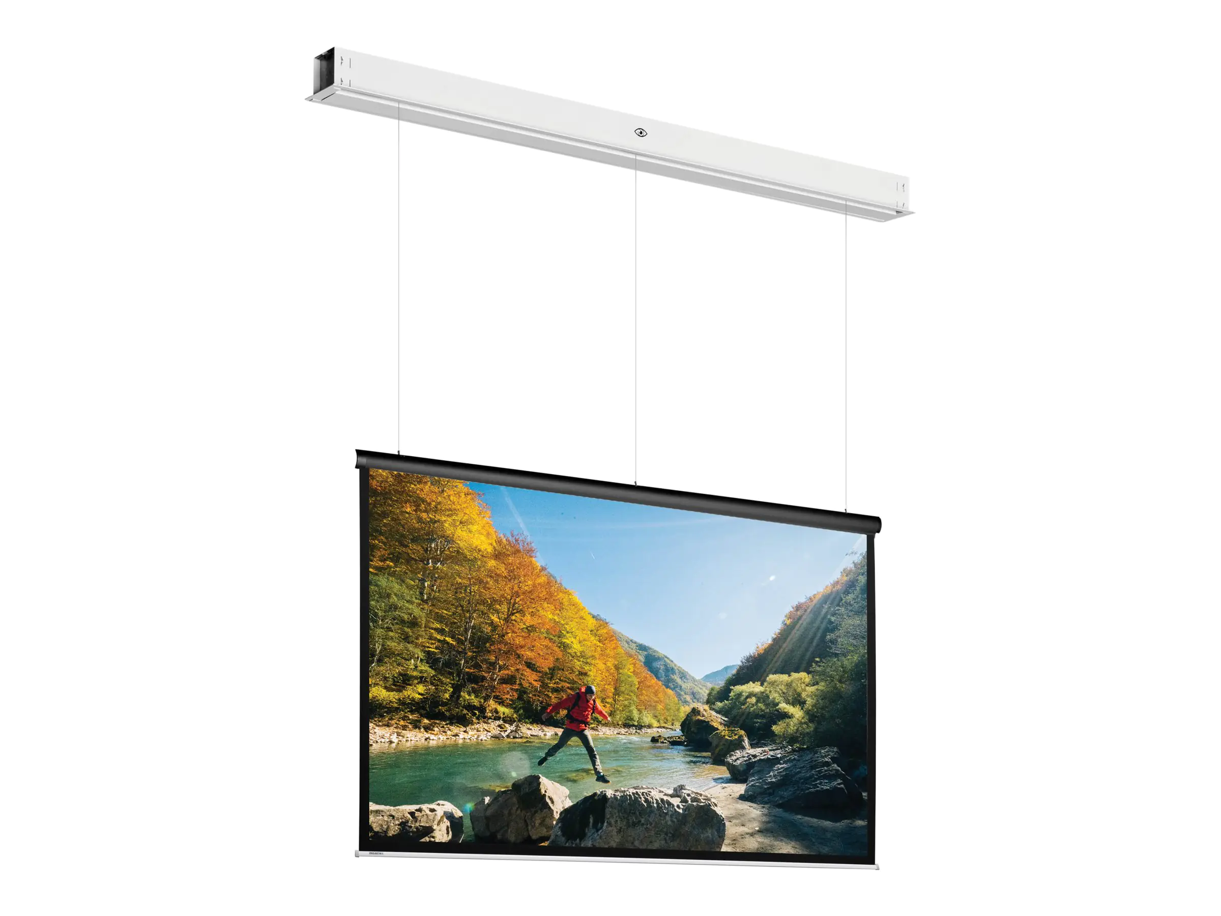 Projecta Da-Lite Tensioned DescenderPro - Leinwand - Deckenmontage möglich - motorisiert -