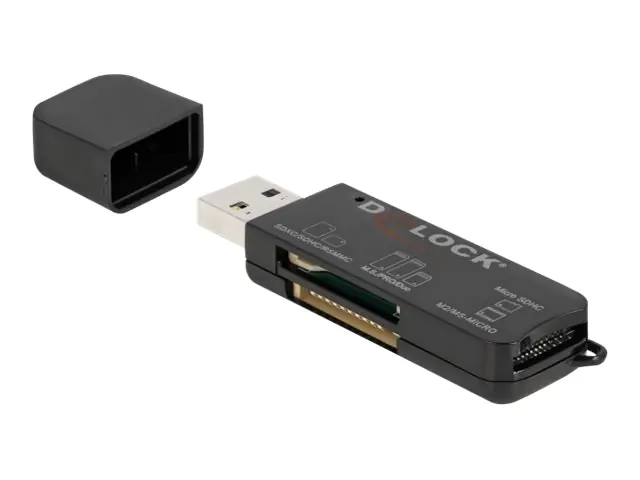 Delock Kartenleser (MS PRO, SD, MS Duo, MS 91757