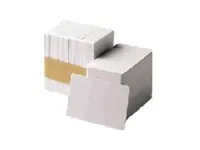 Zebra Premier Security - 30 mil - 100 Stck. PVC-Karte mit eingebettetem Hologramm (Weltkugeldesign) 104524-120