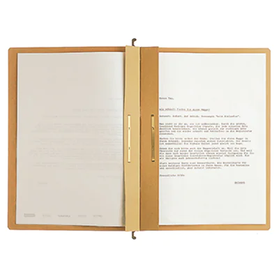 Leitz Hängehefter ALPHA® DIN A4 250g/m² Natronkarton, recycelt naturbraun 25 St./Pack.