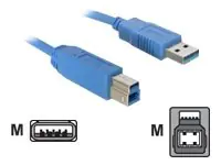 Delock USB-Kabel USB Typ A (M) USB Typ B (M) 82580 1 m