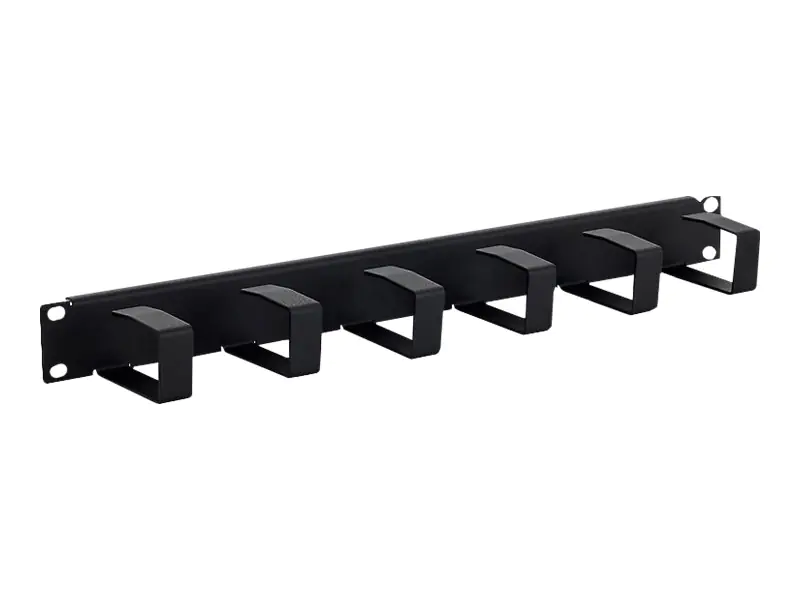 TRITON Kabelmanagement - 1U - 48.3 cm (19") RAB-VP-X21-A1