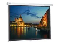 Projecta ProScreen Video Format - Leinwand - Deckenmontage möglich, geeignet für Wandmontage -