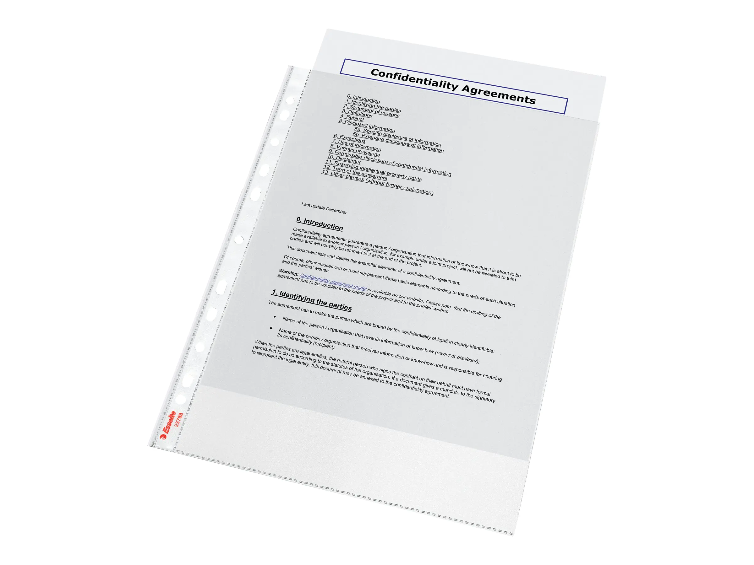 Esselte Leitz Standard Plus - Schutzhülle - für A4 (210 x 297 mm) 23763