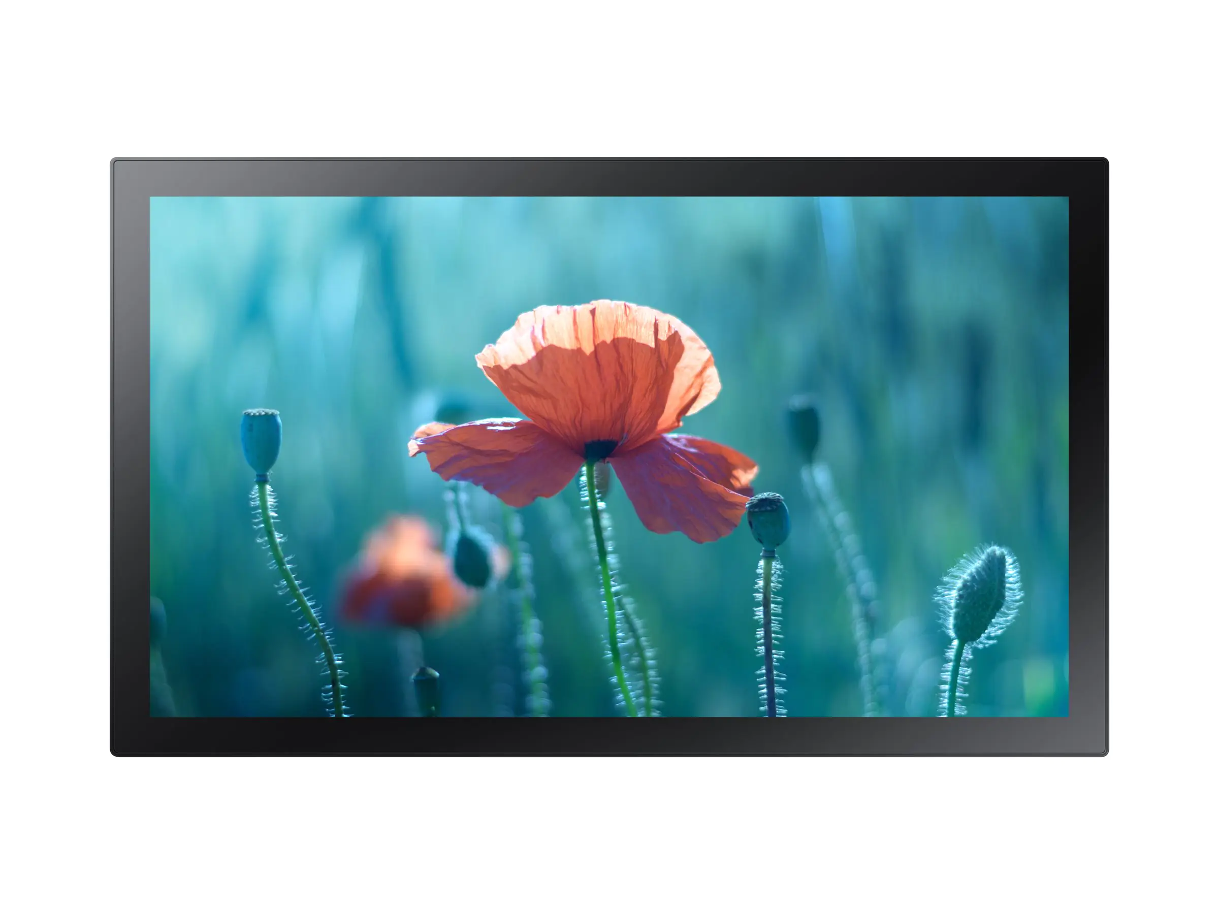 Samsung QB13R-T - 33 cm (13") Diagonalklasse QBR Series LED display unit - interaktive Digital Signage - mit Touchscreen (Multi-Touch) LH13QBRTBGCXEN