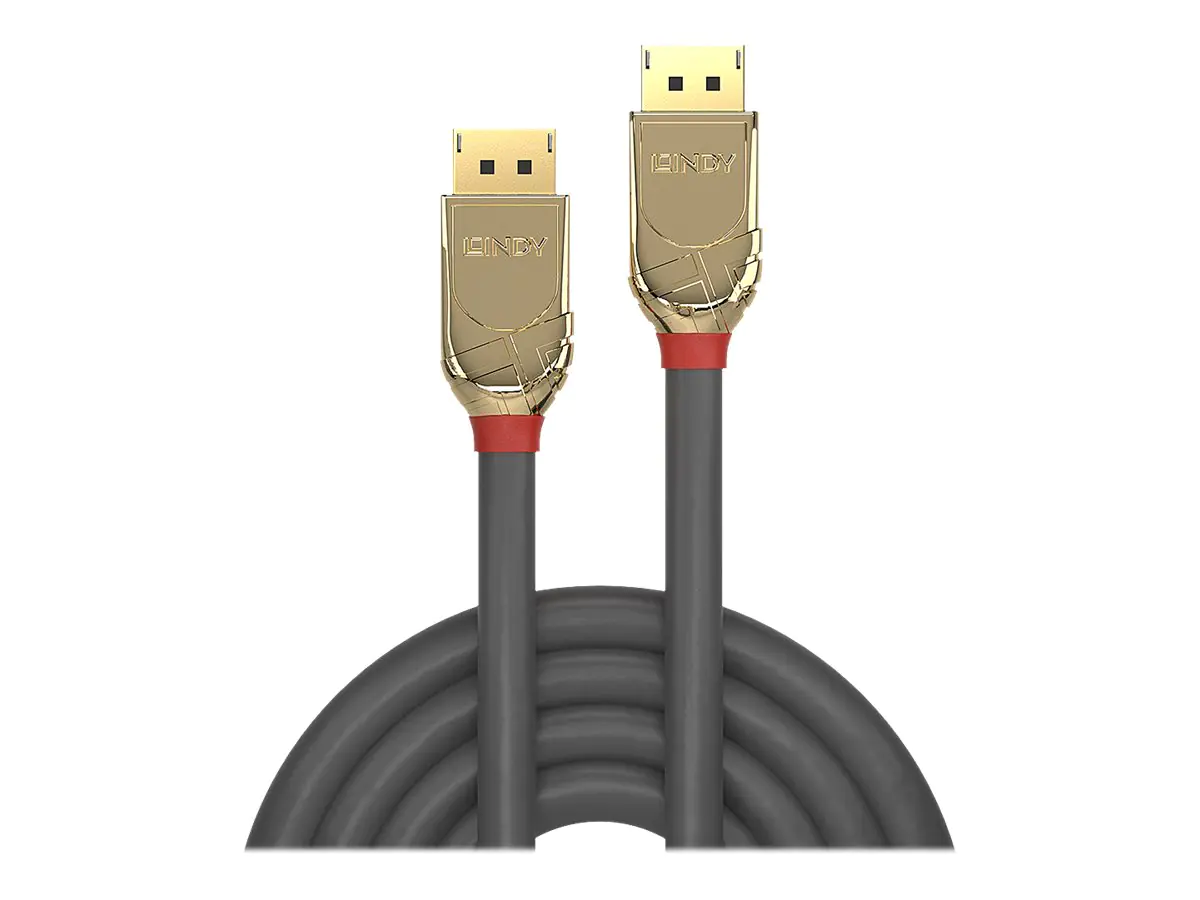 Lindy Gold - DisplayPort-Kabel - DisplayPort (M) zu DisplayPort (M) - DisplayPort 1.2 - 1 m - 4K Unterstützung - Grau