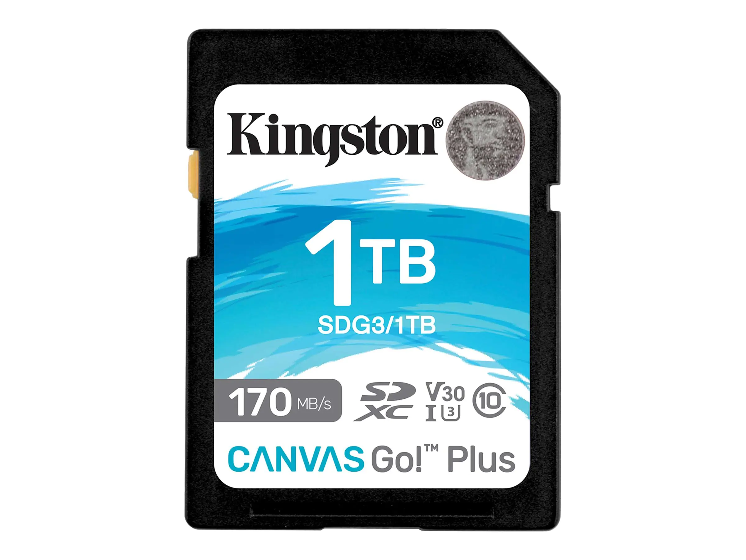 Kingston Canvas Go! Plus - Flash-Speicherkarte - 1 TB - Video Class V30 / UHS-I U3 / Class10 - SDXC UHS-I