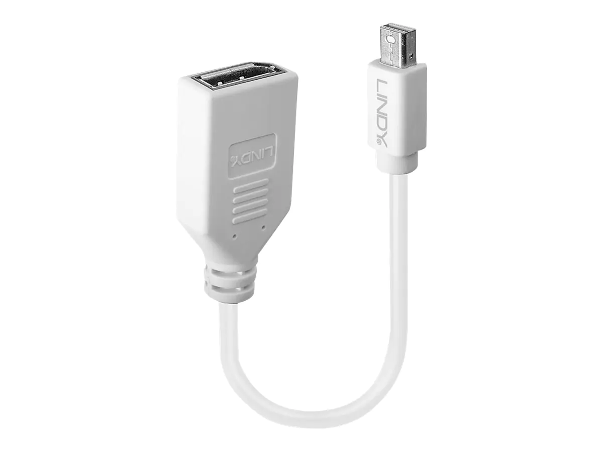Lindy - DisplayPort-Adapter - Mini DisplayPort (M) bis DisplayPort (W) - 15 cm - weiß