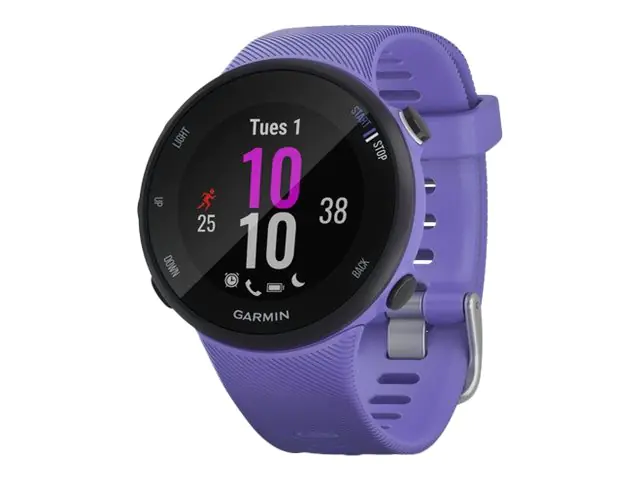 Garmin Forerunner 45S - Iris - Sportuhr mit Band - Silikon - Iris - Bandgröße: S - Anzeige 2.6 cm (1.04") - Bluetooth, ANT+ - 32 g