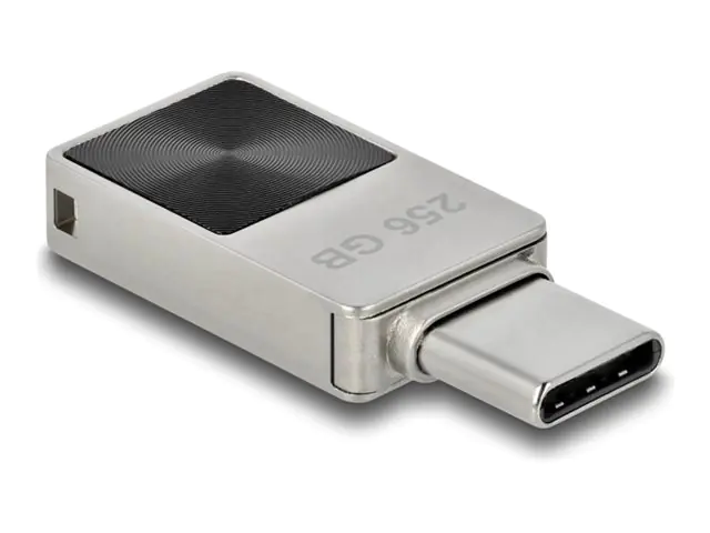 Delock - USB-Flash-Laufwerk - 256 GB - USB-C